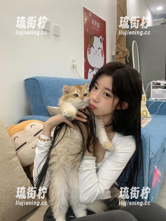 166fun作为生活小助手，总有些链接让我直呼过瘾！