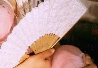 51吃瓜官网：仿佛全网都在围观这一出好戏！