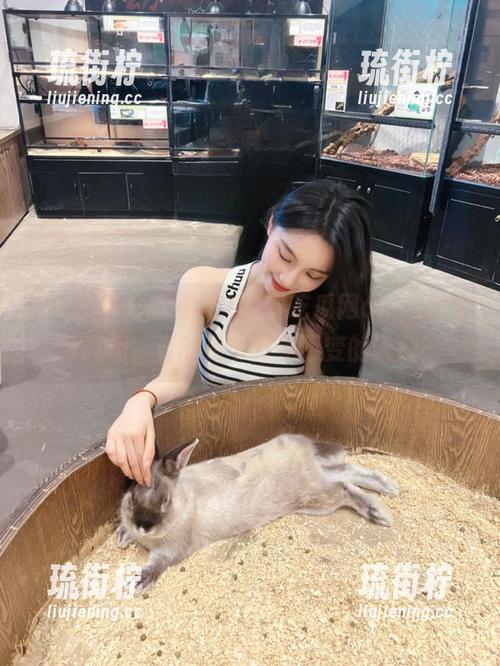 51黑料吃瓜网ccgg的永久真相，真的是个万年不变的话题！