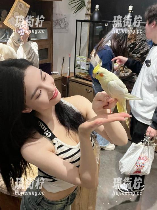 别走！tttzzz.su官网黑料入口独家揭秘，真相你绝对想不到！
