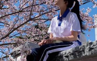 吃瓜后才发现，原来“zztt01”导航是个宝藏！