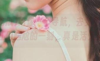 给你一个导航，去免费吃瓜看网红们尴尬的一刻，真是活久见！