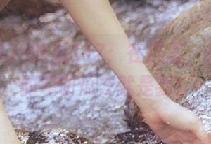 吃瓜517：在这里，永不迷路的聪明瓜友就是我！