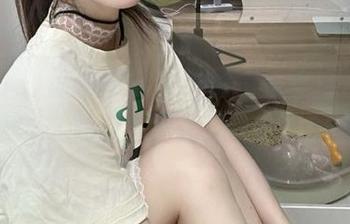 登录吃瓜网，目睹朝阳背后的那些瓜，真是绝了！