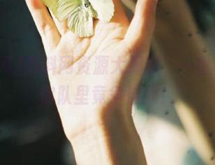 黑料网资源大揭秘，一份黑料让你队里竟争恼火！